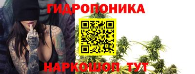 прущие грибы Партизанск