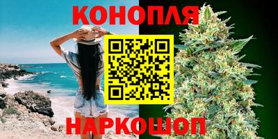 прущие грибы Партизанск