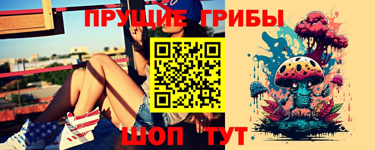 Сертолово  Псилоцибиновые грибы Magic Shrooms  Вход с VPN 